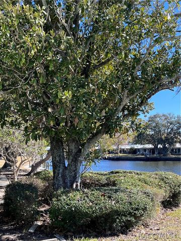 11249 W Bayshore Drive, Crystal River, FL 34429