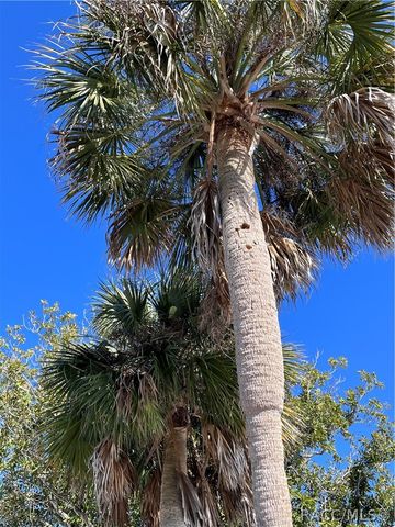 11249 W Bayshore Drive, Crystal River, FL 34429