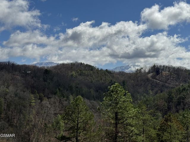 3764 Ivy Way, Sevierville, TN 37876