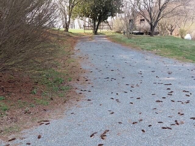 33 James River TER, Buchanan, VA 24066