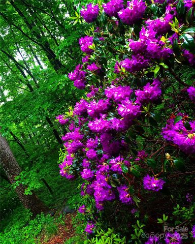 23 Hunting Lodge Drive, Black Mountain, NC 28711