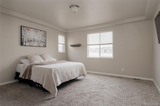 1858 Holloway Drive, Windsor, CO 80550