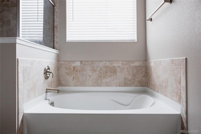 1858 Holloway Drive, Windsor, CO 80550