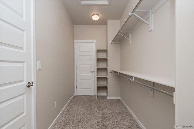 1858 Holloway Drive, Windsor, CO 80550