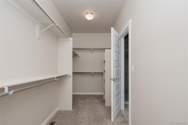 1858 Holloway Drive, Windsor, CO 80550