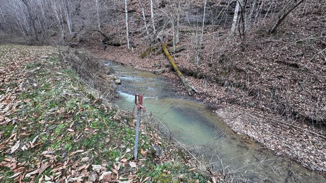 421 Wren Branch Road, Oneida, KY 40972