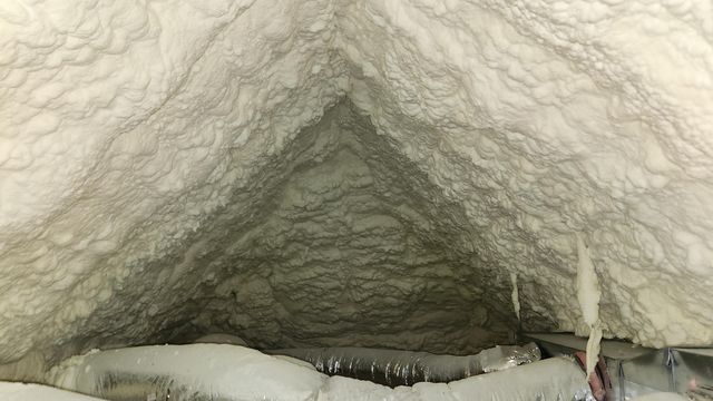 1006 W Walnut Street, Springfield, MO 65806