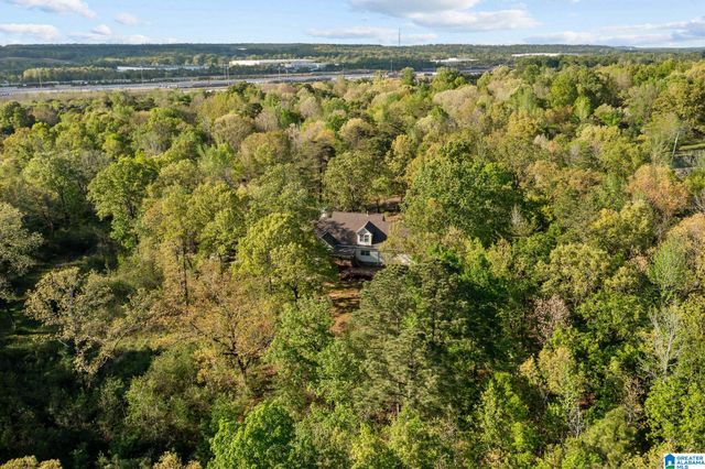 6050 COLEMAN LAKE ROAD, Mccalla, AL 35111