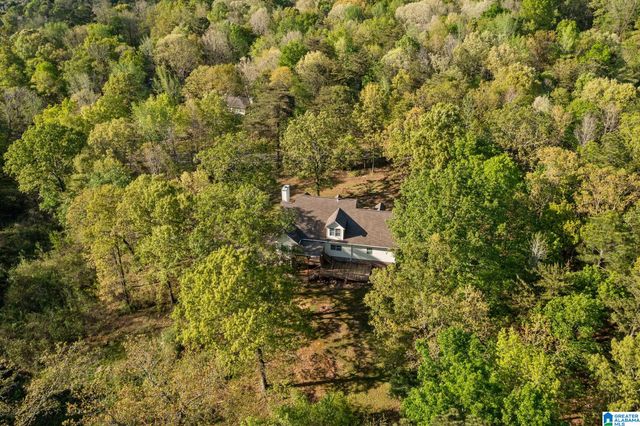 6050 COLEMAN LAKE ROAD, Mccalla, AL 35111