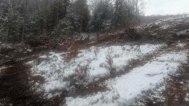 495 South Mendon Street, Mendon, VT 05701