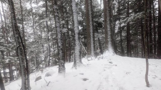 495 South Mendon Street, Mendon, VT 05701