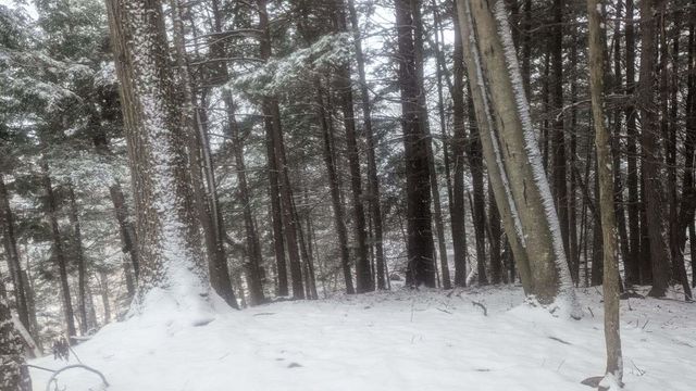 495 South Mendon Street, Mendon, VT 05701