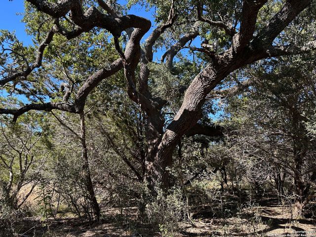 149 Tablerock Ridge, Camp Verde, TX 78010