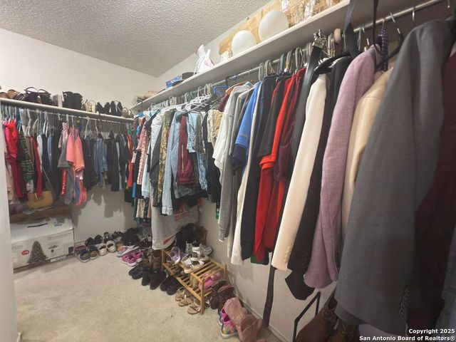 6643 beech trail, Converse, TX 78109