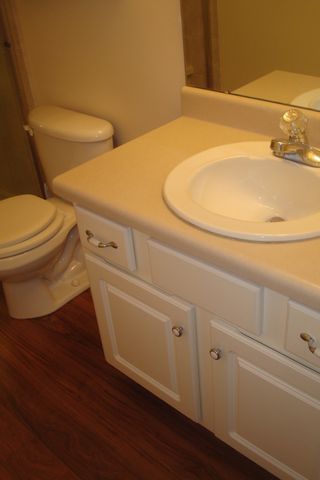 425 Reavis Ave, Smyrna, TN 37167