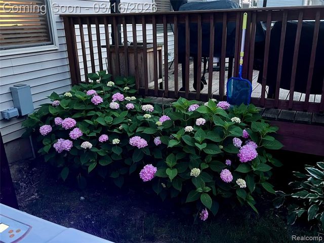 437 Golfside Drive, Lapeer, MI 48446