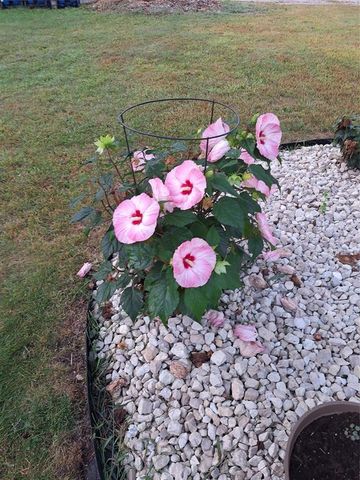 N4388 Esther Drive, Onalaska, WI 54650