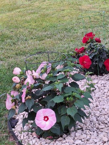 N4388 Esther Drive, Onalaska, WI 54650