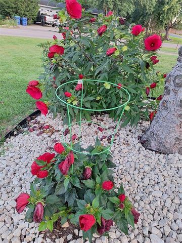 N4388 Esther Drive, Onalaska, WI 54650