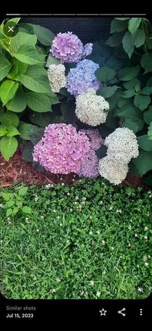 N4388 Esther Drive, Onalaska, WI 54650