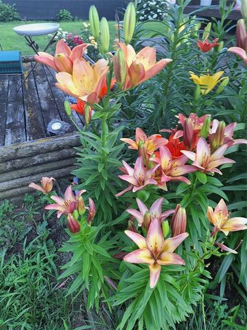 N4388 Esther Drive, Onalaska, WI 54650