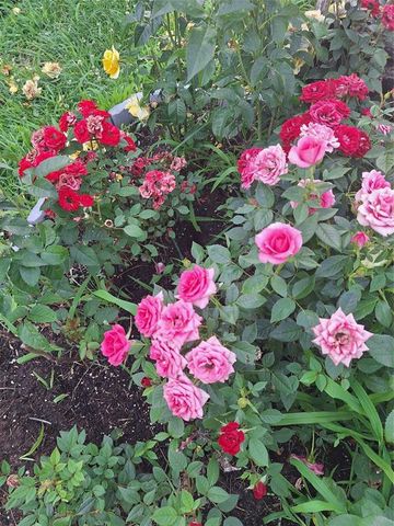 N4388 Esther Drive, Onalaska, WI 54650