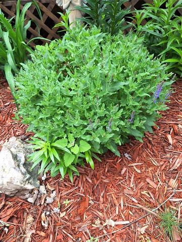 N4388 Esther Drive, Onalaska, WI 54650