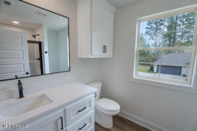 39 Everglades, Hattiesburg, MS 39402