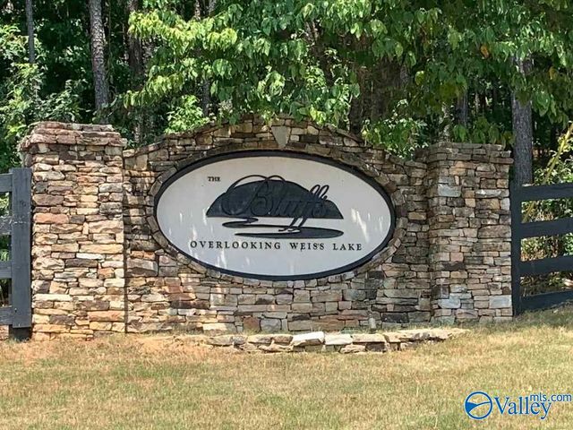 Lot 49 County Road 767 49, Cedar Bluff, AL 35959