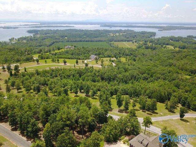 Lot 49 County Road 767 49, Cedar Bluff, AL 35959