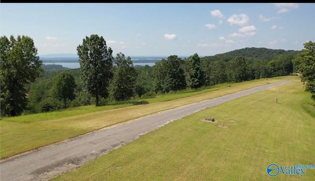 Lot 49 County Road 767 49, Cedar Bluff, AL 35959