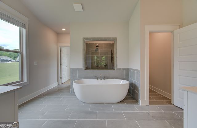 113 Homesite Saddle Drive, Senoia, GA 30276