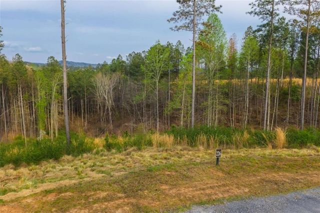 LT 226 West Vista Ridge Parkway, Talking Rock, GA 30175