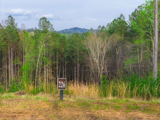 LT 226 West Vista Ridge Parkway, Talking Rock, GA 30175