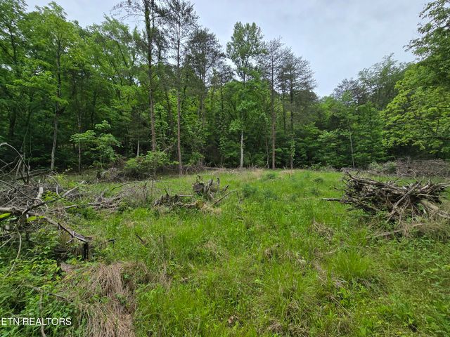 29+ACRES BOATMANS MOUNTAIN, Morristown, TN 37814