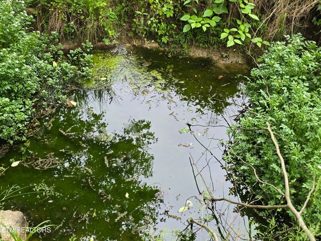 29+ACRES BOATMANS MOUNTAIN, Morristown, TN 37814