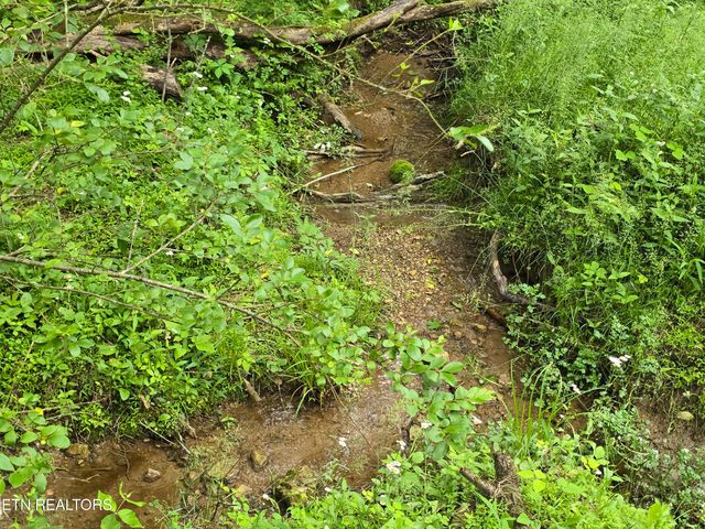 29+ACRES BOATMANS MOUNTAIN, Morristown, TN 37814