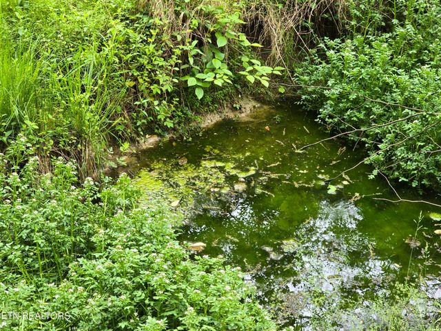 29+ACRES BOATMANS MOUNTAIN, Morristown, TN 37814