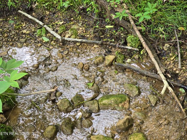 29+ACRES BOATMANS MOUNTAIN, Morristown, TN 37814