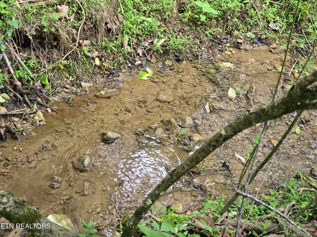 29+ACRES BOATMANS MOUNTAIN, Morristown, TN 37814