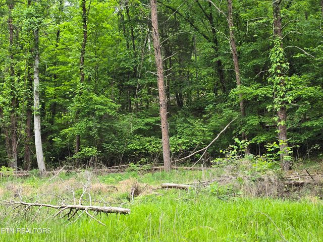 29+ACRES BOATMANS MOUNTAIN, Morristown, TN 37814