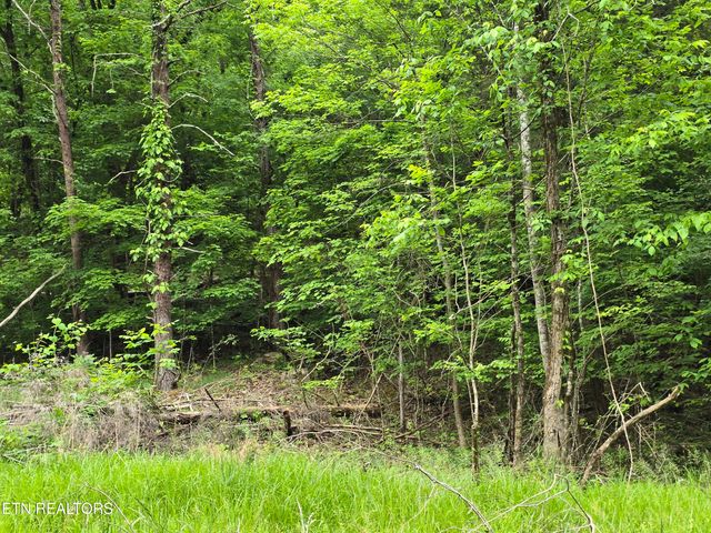 29+ACRES BOATMANS MOUNTAIN, Morristown, TN 37814