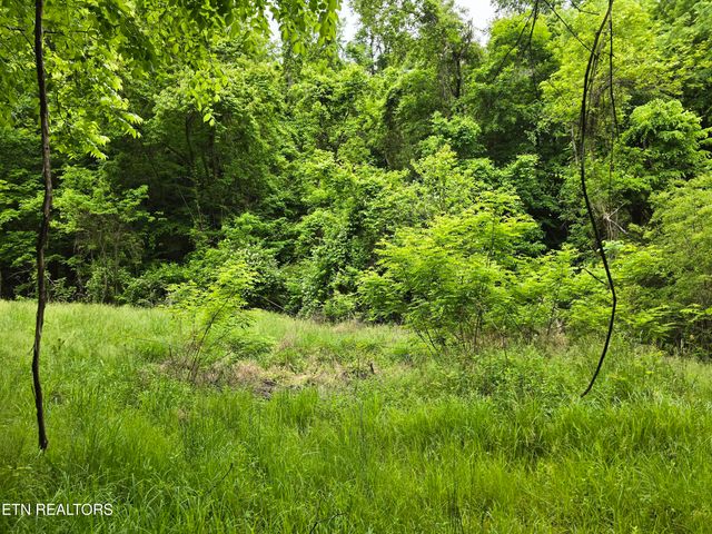29+ACRES BOATMANS MOUNTAIN, Morristown, TN 37814