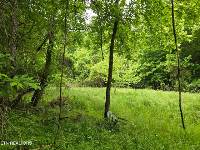 29+ACRES BOATMANS MOUNTAIN, Morristown, TN 37814