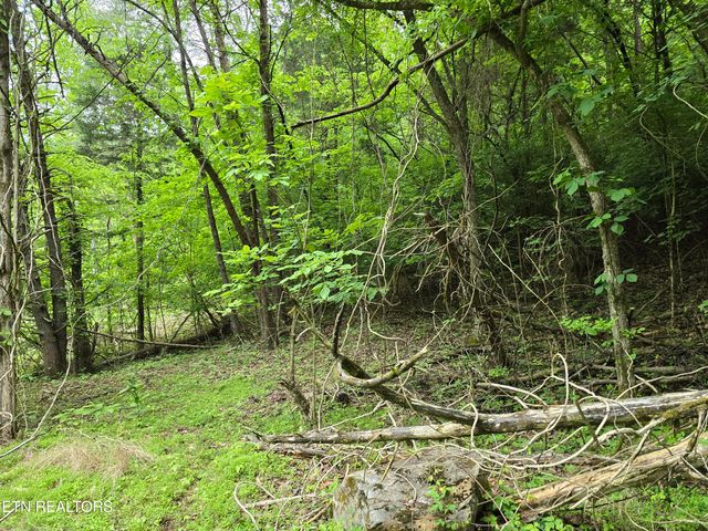 29+ACRES BOATMANS MOUNTAIN, Morristown, TN 37814
