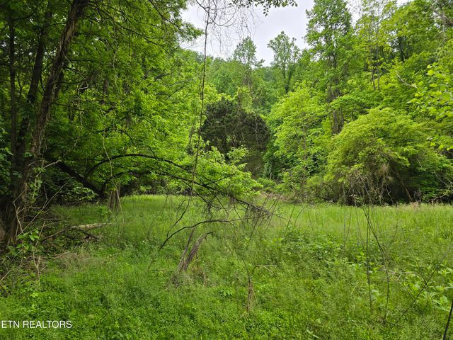 29+ACRES BOATMANS MOUNTAIN, Morristown, TN 37814