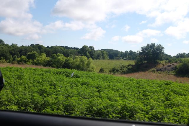 6 Squirrel Path, East Bernstadt, KY 40729