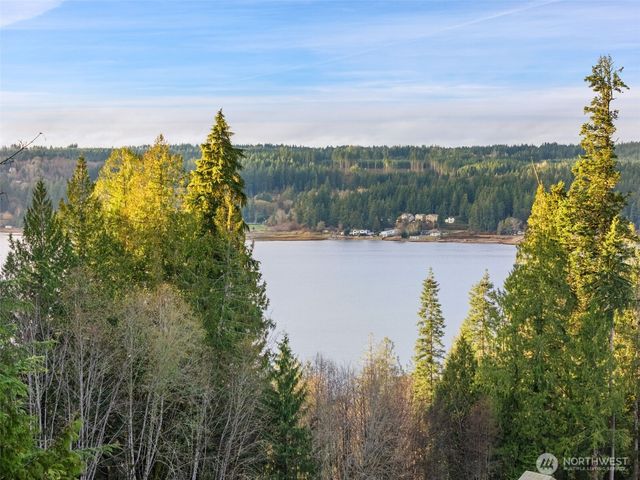 401 E Cove View Road, Belfair, WA 98528