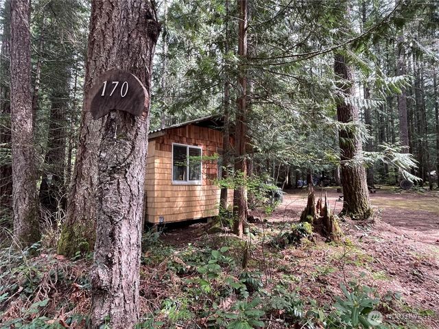 170 N Mount Washington Drive, Hoodsport, WA 98548