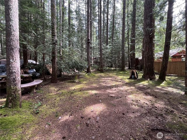 170 N Mount Washington Drive, Hoodsport, WA 98548